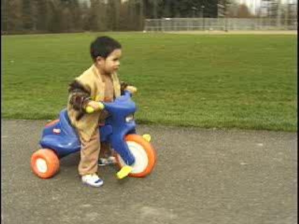 Windows Movie Maker-Beispieldatei