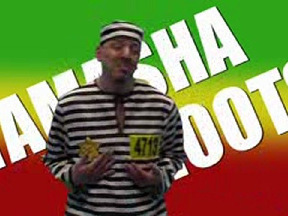 TEAZER OFFICIAL TAMASHA-ROOTS-