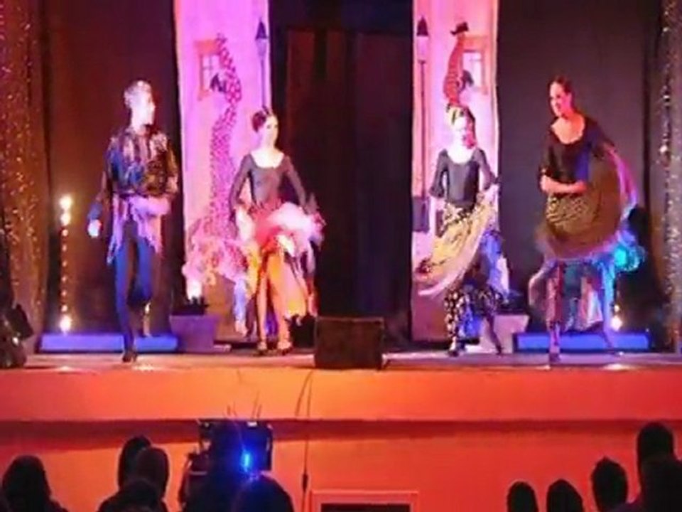 Plumes de nuit Spectacle "GLAMOUR" 2011, Studio CG Designer.