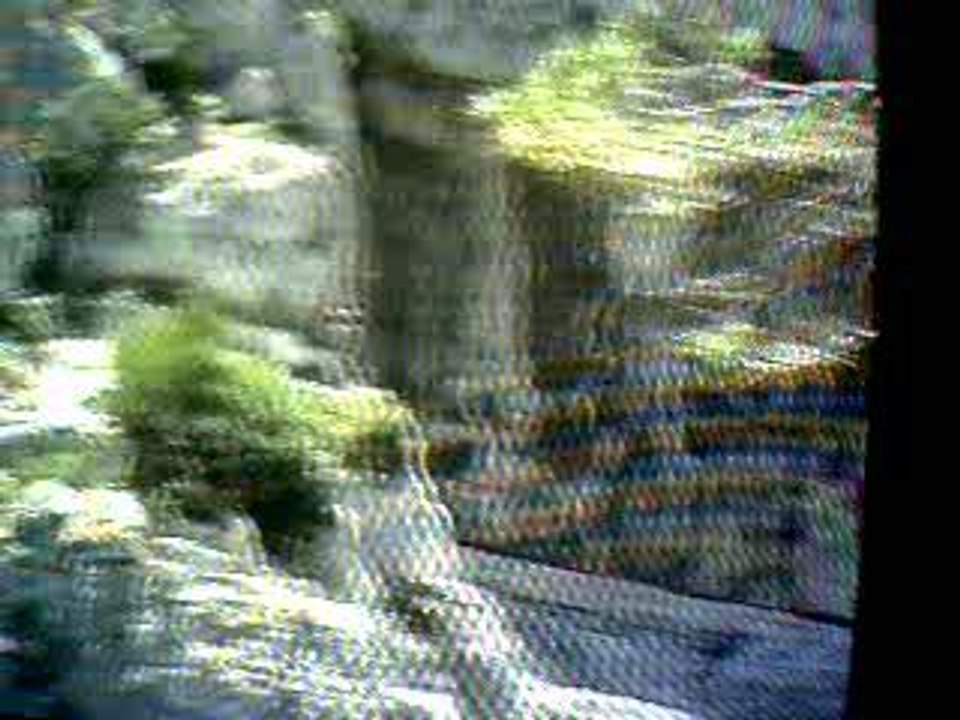 Saut