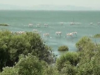 Eczacı Akçiçek İÖO - Kuş Cenneti Gezisi