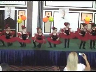 Meydan Yıl Sonu Gösterisi 2010 Topkapı Palace part 3