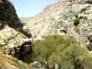Nature of Fars