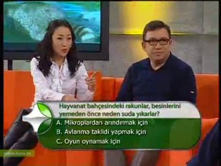 1 Varlık harikaları-5 Rakun Stv
