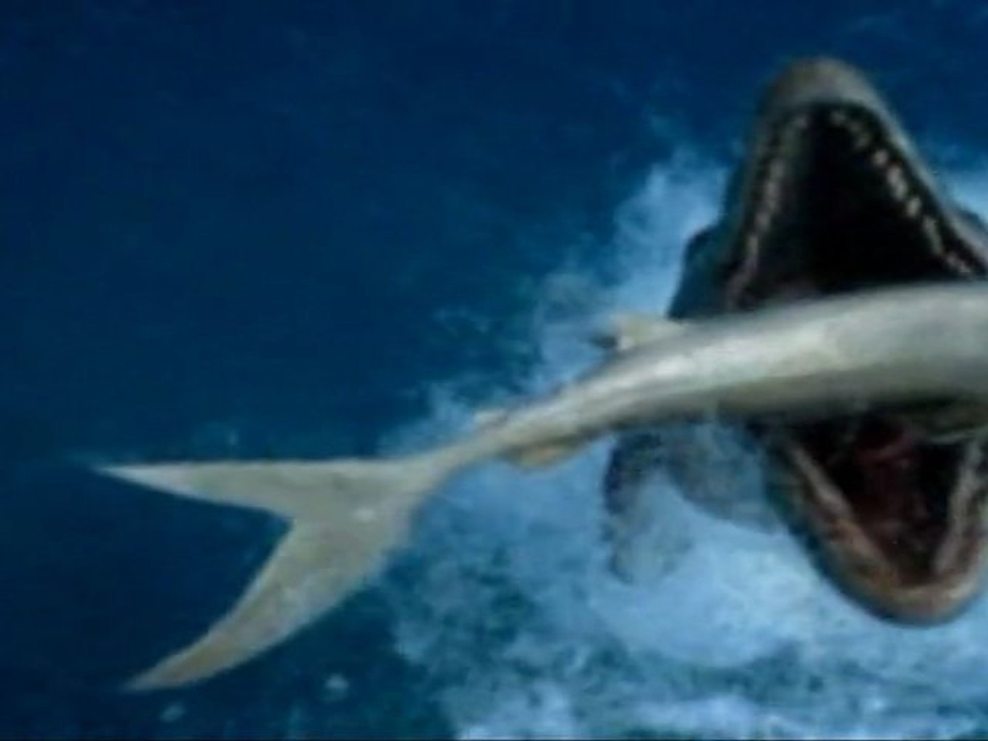 Les Monstres Du Fond Des Mers Episode 2 Monstres des Mers" en IMAX® 3D au Futuroscope - Vidéo Dailymotion