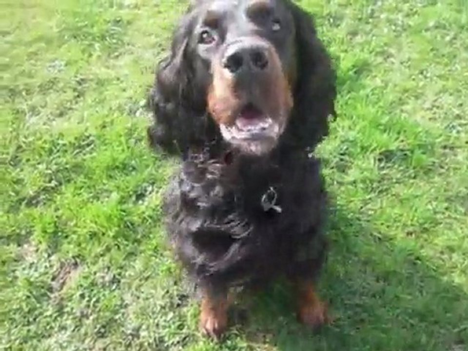 Magnum&Marine Acte II