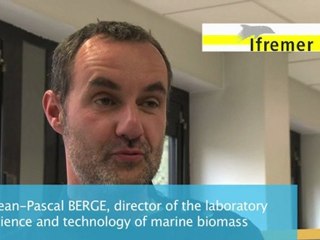 Ifremer, Laboratoire Sciences et Technologies de la Biomasse Marine (STBM ), membre d'Atlanpole Blue CLuster