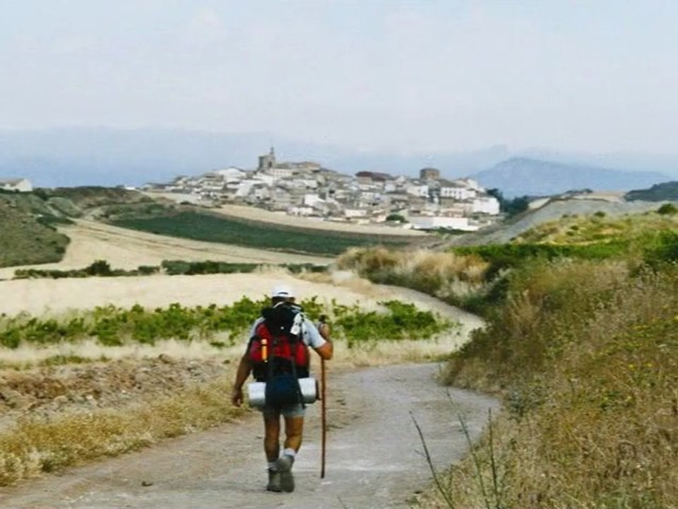 Guide LEPERE du Camino frances
