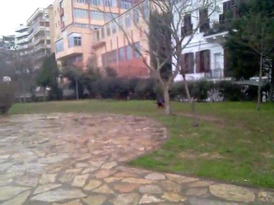 Mathilda ve şeker ile cankız