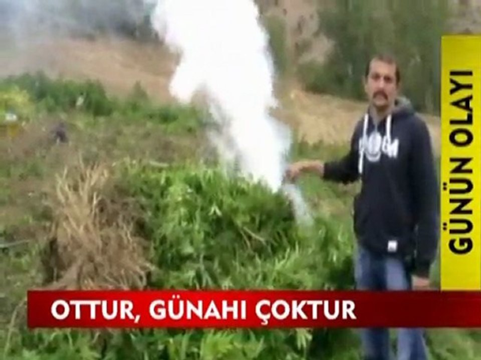 star tv esrar tarlası haberi