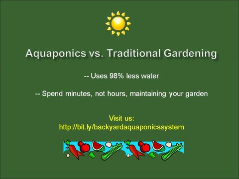 How to Build a Backyard Aquaponics System