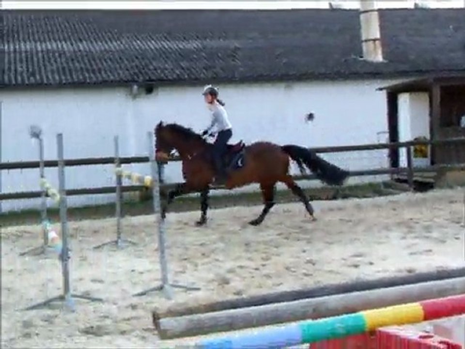Entrainement Mars 2011