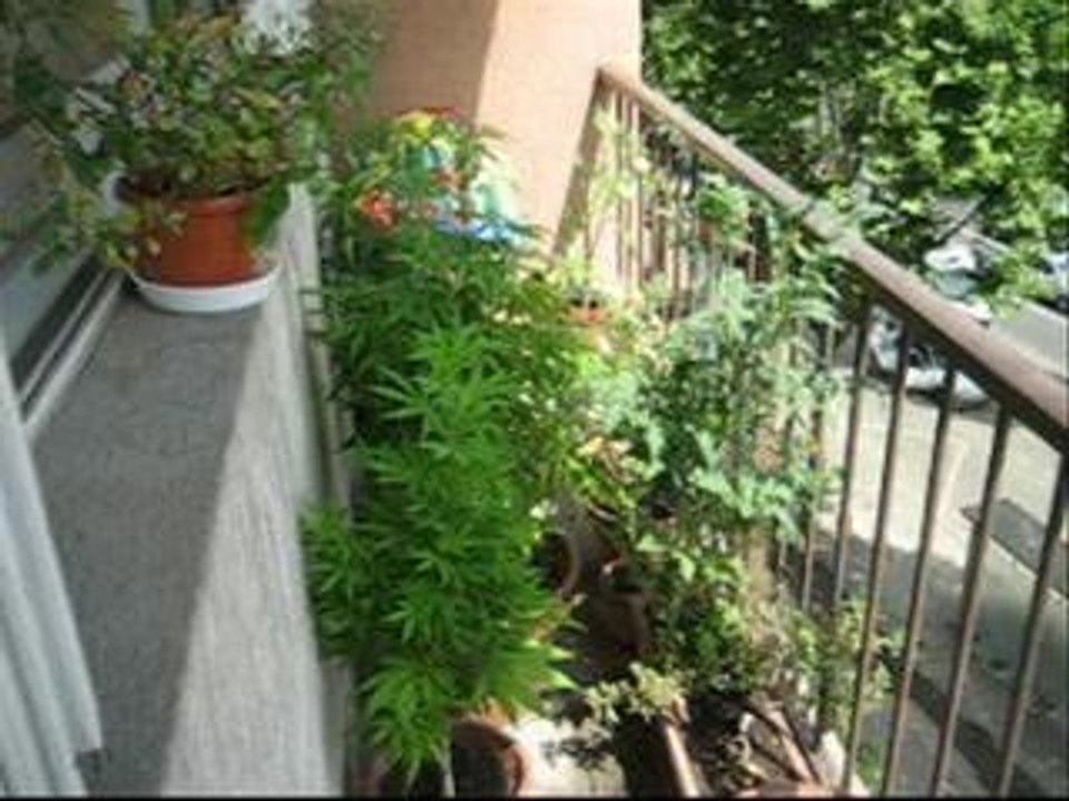 Un Dimanche au Abesses