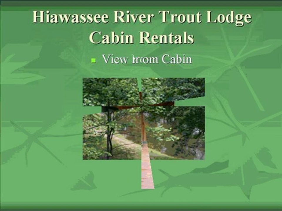 Hiawassee River trout lodge Cabin Rentals Cabim 8