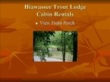 Hiawassee River trout lodge Cabin Rentals Cabin 1