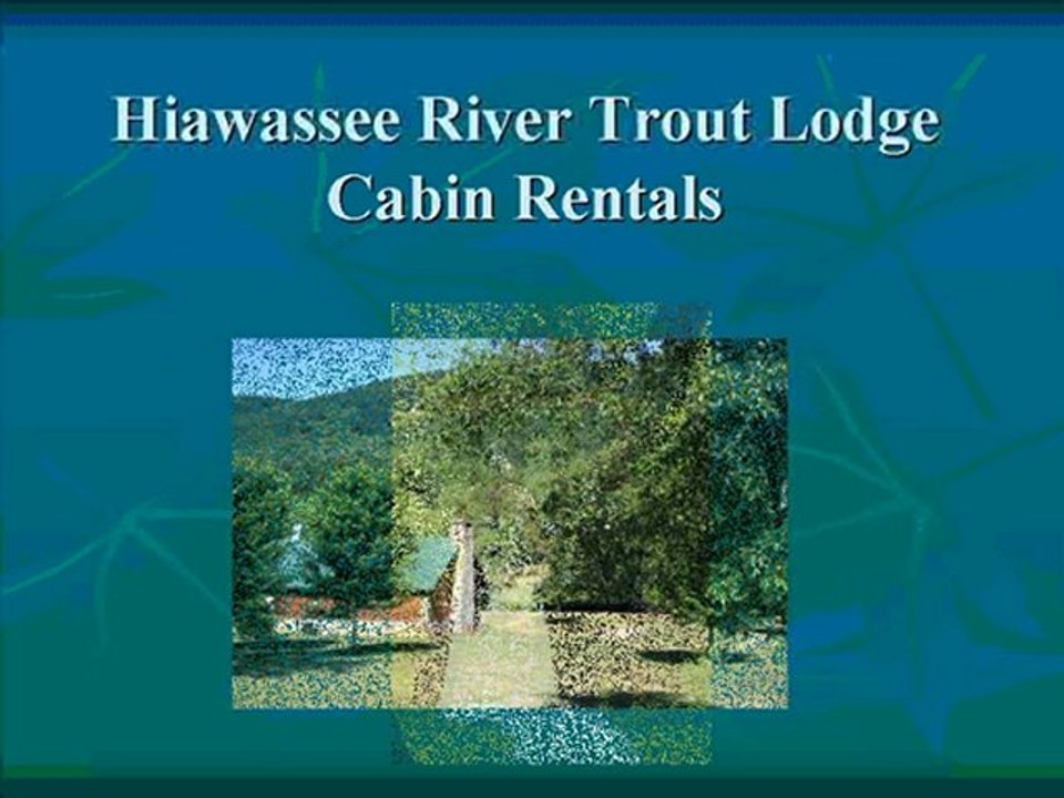 Hiawassee River trout lodge Cabin Rentals Conference Center