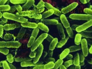 Warts - Erie Podiatrist Bay City Associates