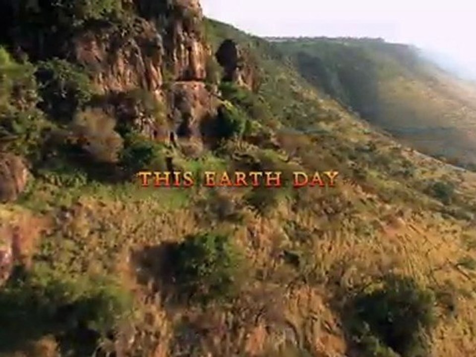 African Cats Trailer