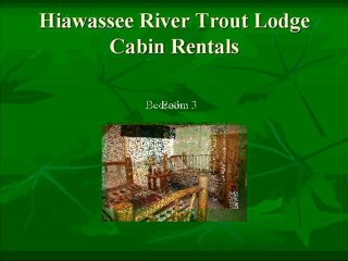 Hiawassee River Trout Lodge Cabin Rental Cabin 10