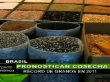 Brasil prevé cosecha récord de granos en 2011