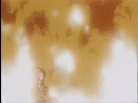 Dragon Ball Z - Trunks - Linkin Park