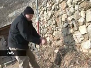 Vignerons extérieurs