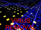 COMPUTER REPAIR, CLEARWATER FL,VIRUS REMOVAL,PC REPAIR,00011