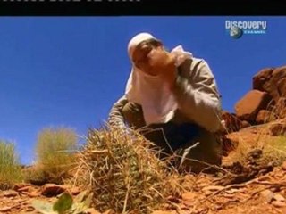 Seul face à la nature Le désert Moab 3 DERNIER