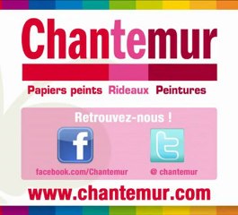 Chantemur Intissé : conseils de pose du papier peint intissé