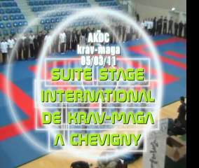 stage international de krav-maga du 05.03.11 n°2