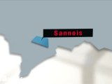 Cantonales 2011 : Sannois