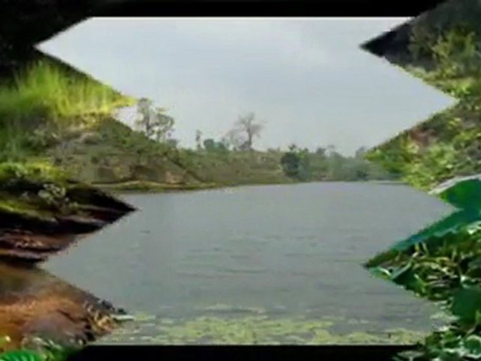 Bangladesh Tourism Hotel Nishorgo Nirob Eco-Cottage Srimongol Bangladesh