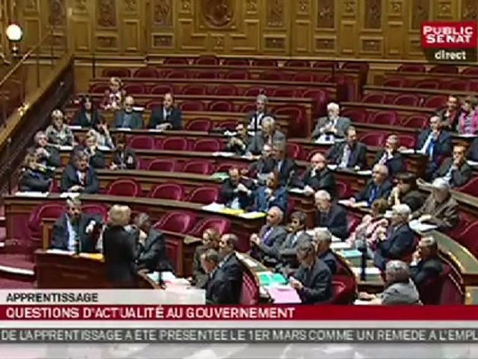 Question au Gouvernement : l'apprentissage