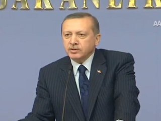 ERDOĞAN AP KARARINI DEĞERLENDİRDİ