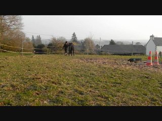 8 mars 2011 - petit travail avec Ecume