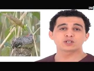 تعيش نهار تسمع اخبار : الجمعة 11 مارس