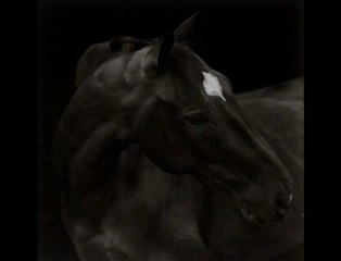 Jeffrey Foucault - Horse Latitudes