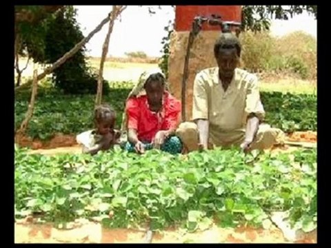Growing Crops in the Desert