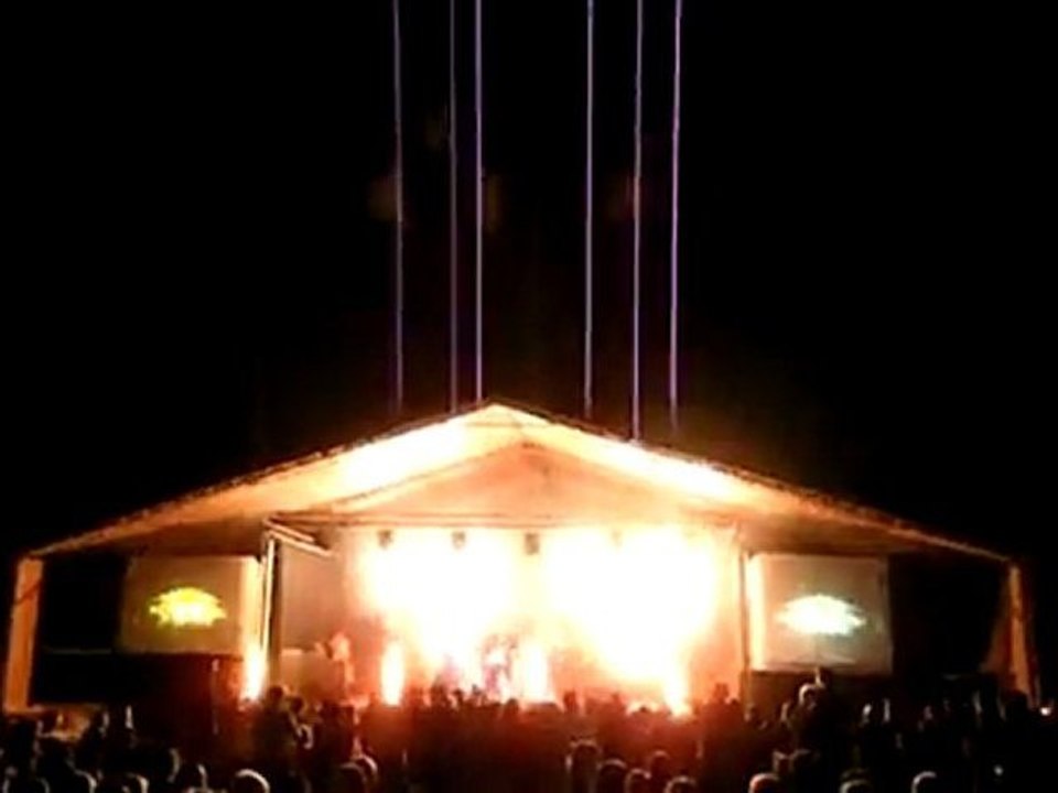 Allumer le feu - Phil Lyn, sosie de Johnny  La Grenouillade