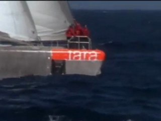 Tara Oceans - Le monde secret (teaser)