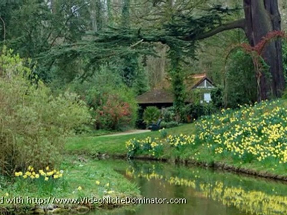 Binaural Beats, Brainwaves, Brain Entrainment and More