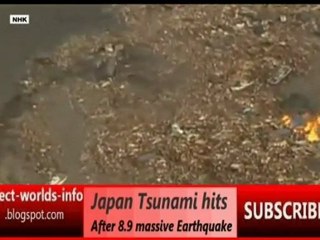 Japan tsunami & Earthquake [correct-worlds-info.co.cc]
