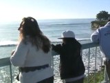 California coast hit by tsunami waves from Japanese earthquake