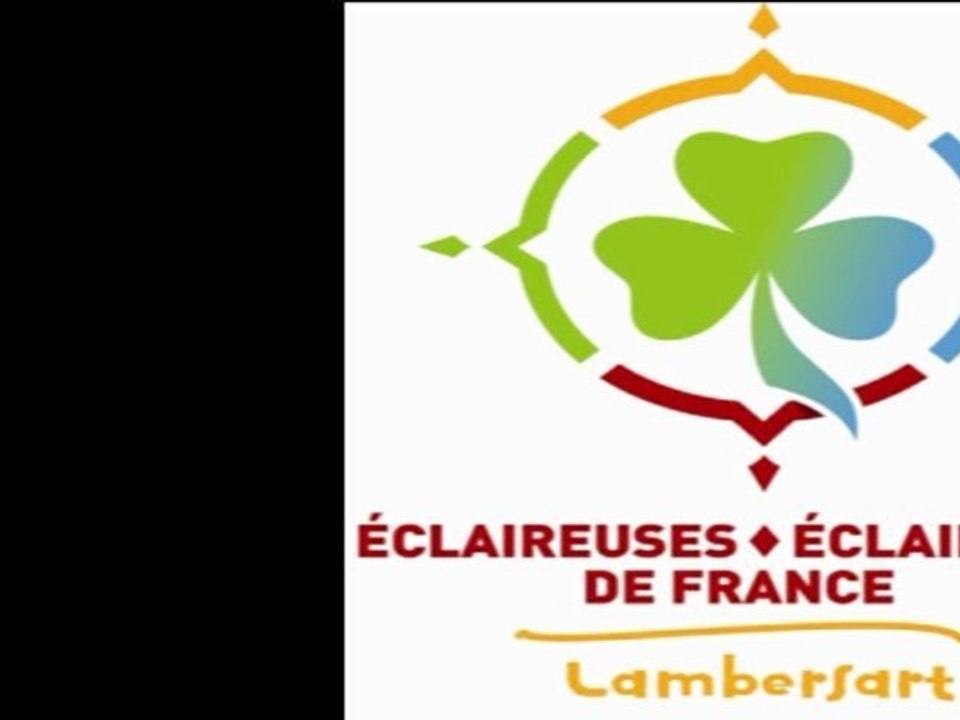 carnaval  Bailleul 2011