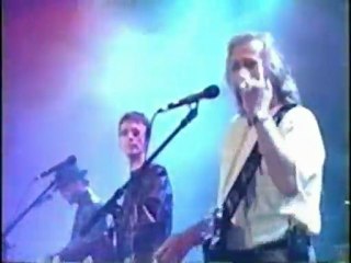 Bee Gees Night Fever & More Than A Woman  Wango Tango