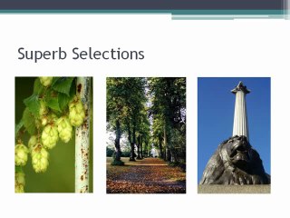 New Forest Hotels for Special Occasions