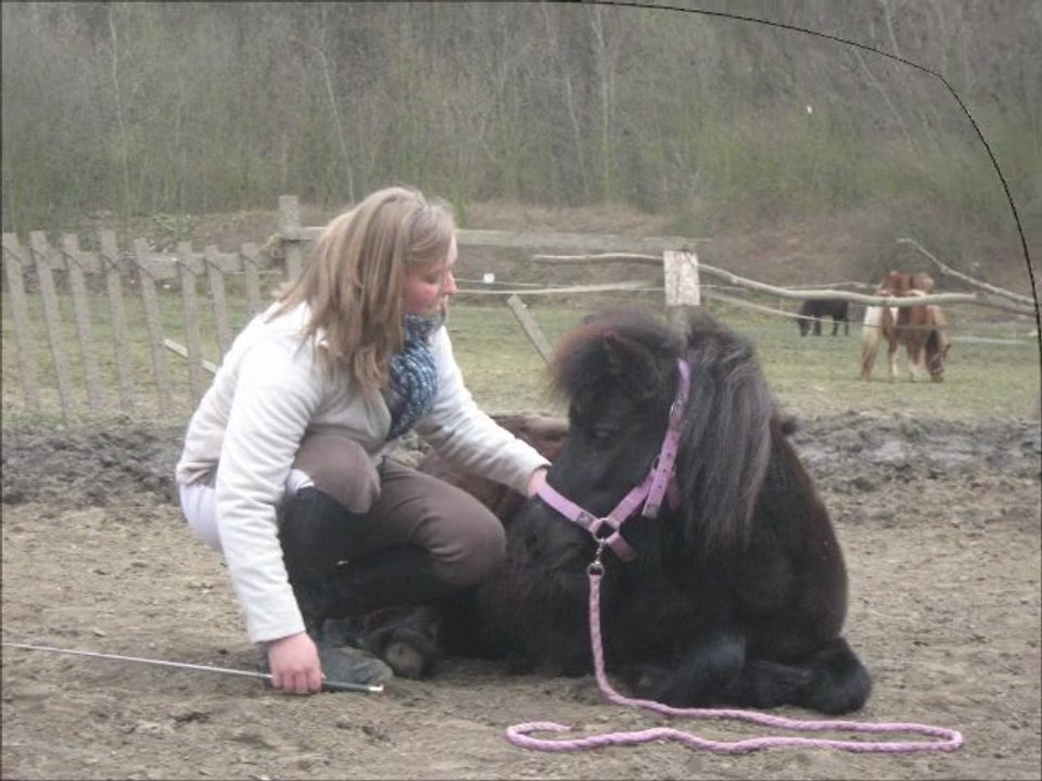 juste un instant de paix avec fily