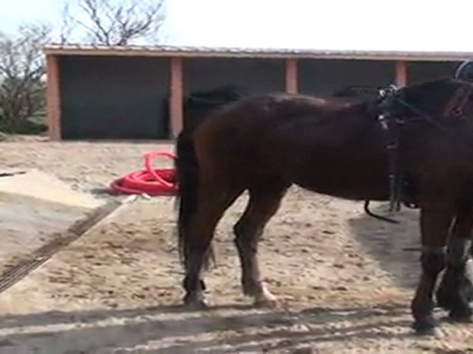 PIC SOYER DE RETOUR DE SON BOULOT