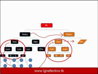 LGN PROSPERITY: Analiza el Plan de Compensacion