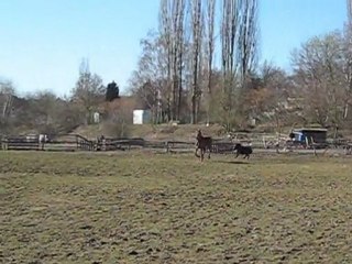 6mois Kaizer & Aurore